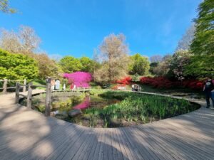 Read more about the article “Wakehurst Place Radiant Respite: A Positive Sanctuary Amidst Nature” 1.0